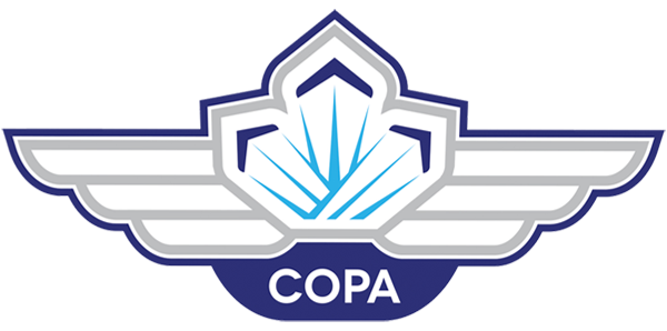 Flight 28 Logo